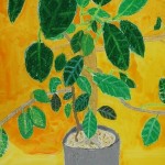 2025年6月6日(金)「木のある風景」「紙芝居」