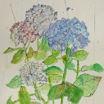 2025年6月9日(月)「木のある風景」「あじさいを描く」