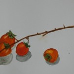 2025年10月4日(土)「自分の手の像」「柿の実の写生」