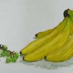 P1560054