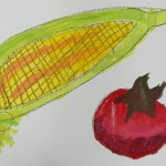 P1560118