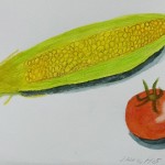 P1560168