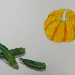 P1570957